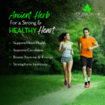 best arjuna tablets in india herbal remedy for cholesterol and heart care