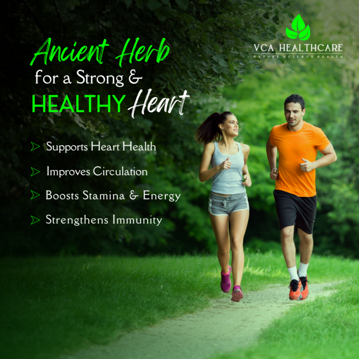 best arjuna tablets in india herbal remedy for cholesterol and heart care