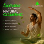 Standardized Triphala Tablets | Best Ayurvedic Medicine for Digestion - Image 5