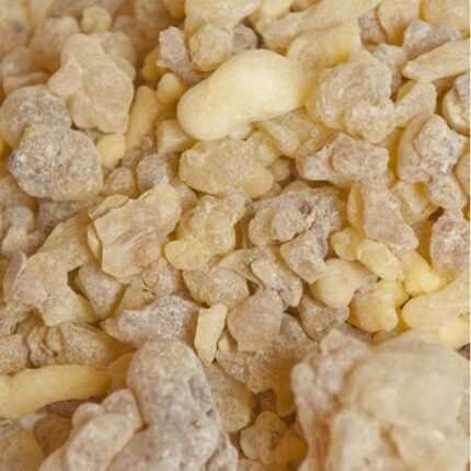 boswellia guggal manufacturer in india