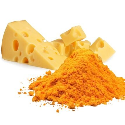 cheese powder manufacturer in india