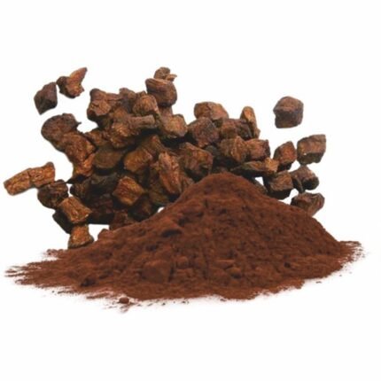 chicory powder manufacturer and supplier in india