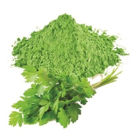 vca healthcare coriander powder manufacturer in india