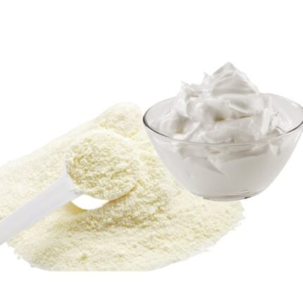 curd powder manufacturer in india