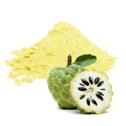 vca healthcare custard apple powder manufacturer in india