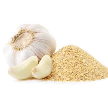 vca healthcare garlic powder manufacturer in india