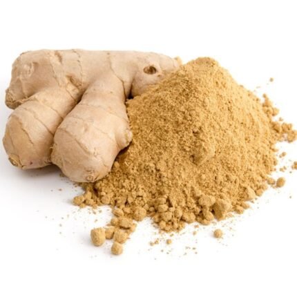 vca healthcare ginger powder manufacturer in india