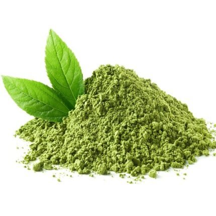 green tea powder manufacturer in india