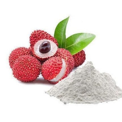 vca healthcare litchi manufacture in india