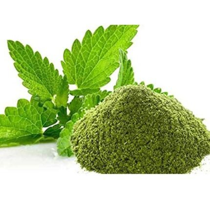 vca healthcare mint powder manufacturer in india