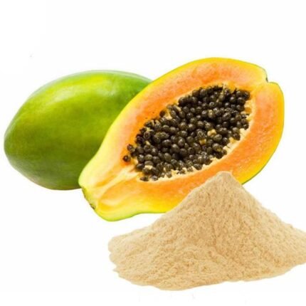 papaya powder manufacturer in india