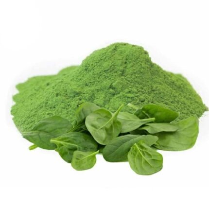 spinach powder manufacturer in india