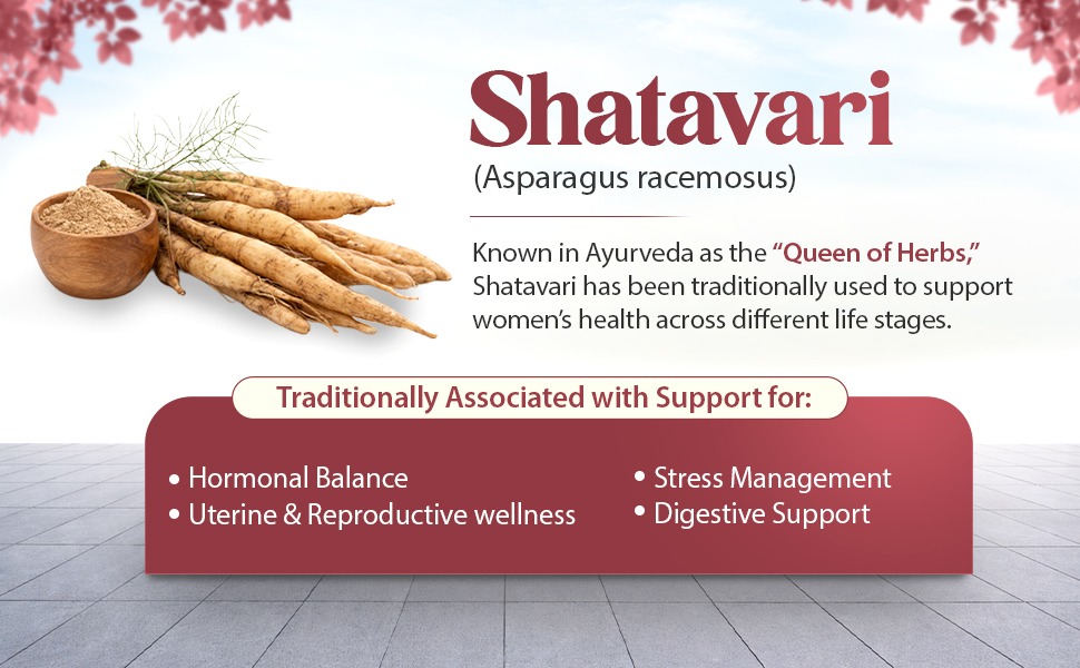 Shatavari uses in Ayurveda for women’s health and vitality