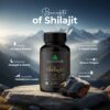 Benefits of 100% Original Shilajit tablets