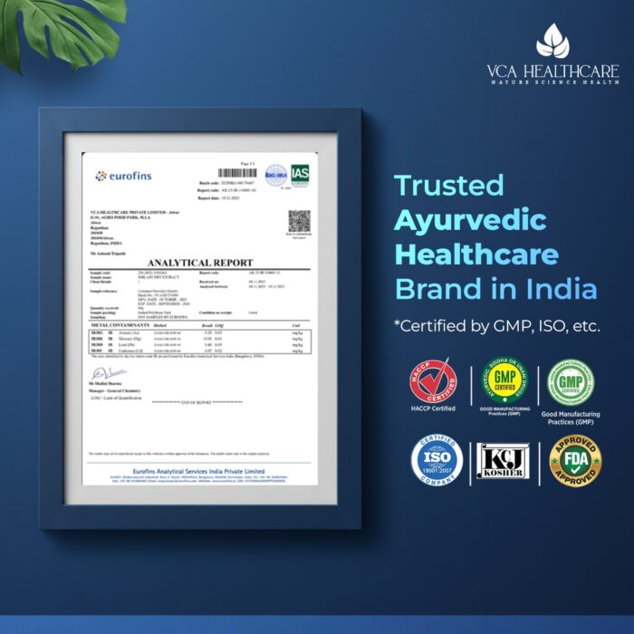 Buy original Shilajit tablets online at best price in India