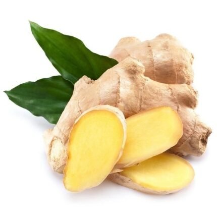 ginger (zingiber officinale) extract manufacturer and supplier in india