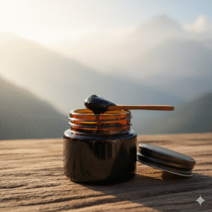 vca healthcare top manufacturer of shilajit raisin in india