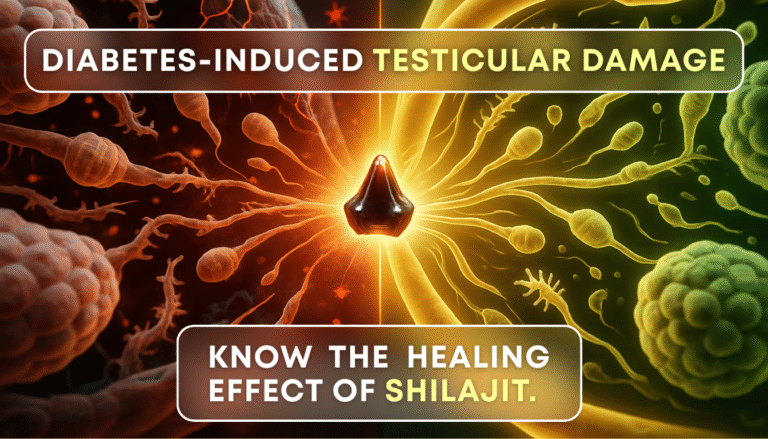 Diabetes-induced Testicular Damage and the Healing effect of Shilajit.