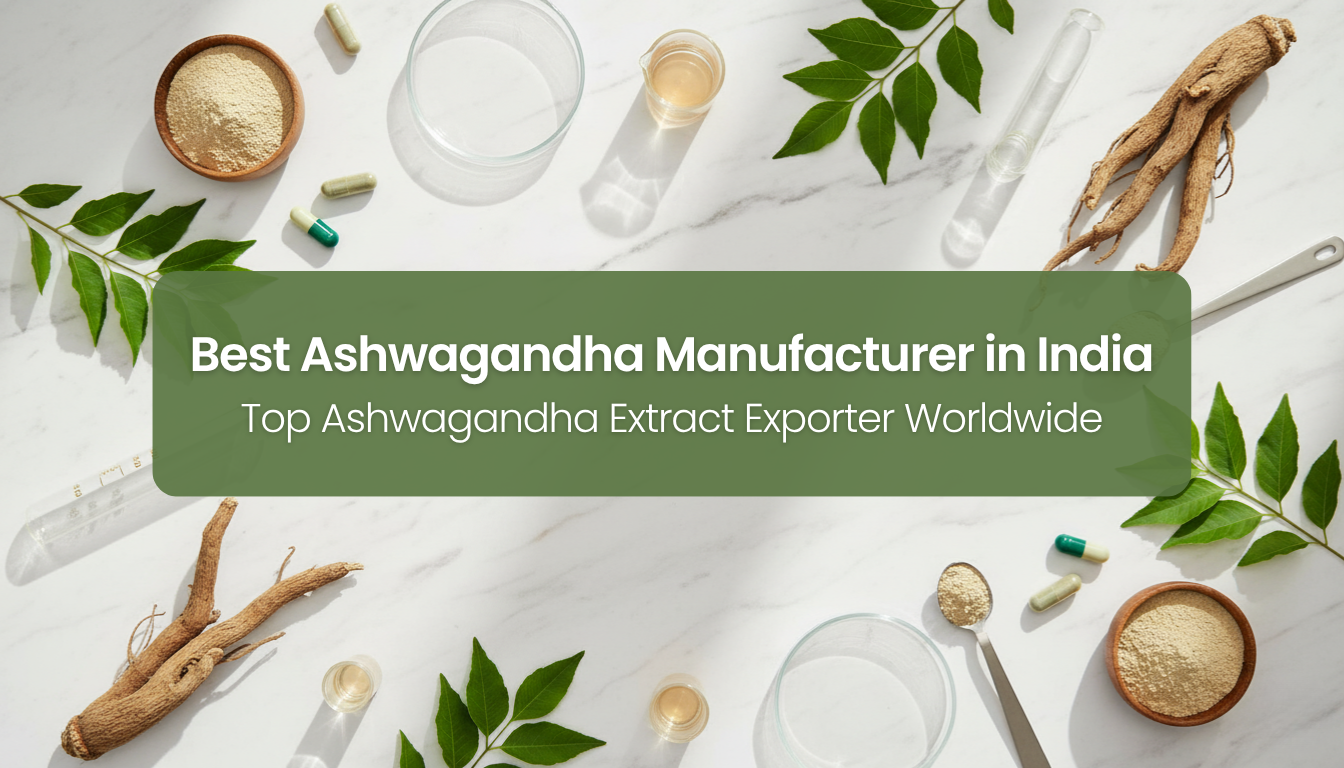 Best Ashwagandha Manufacturer in India