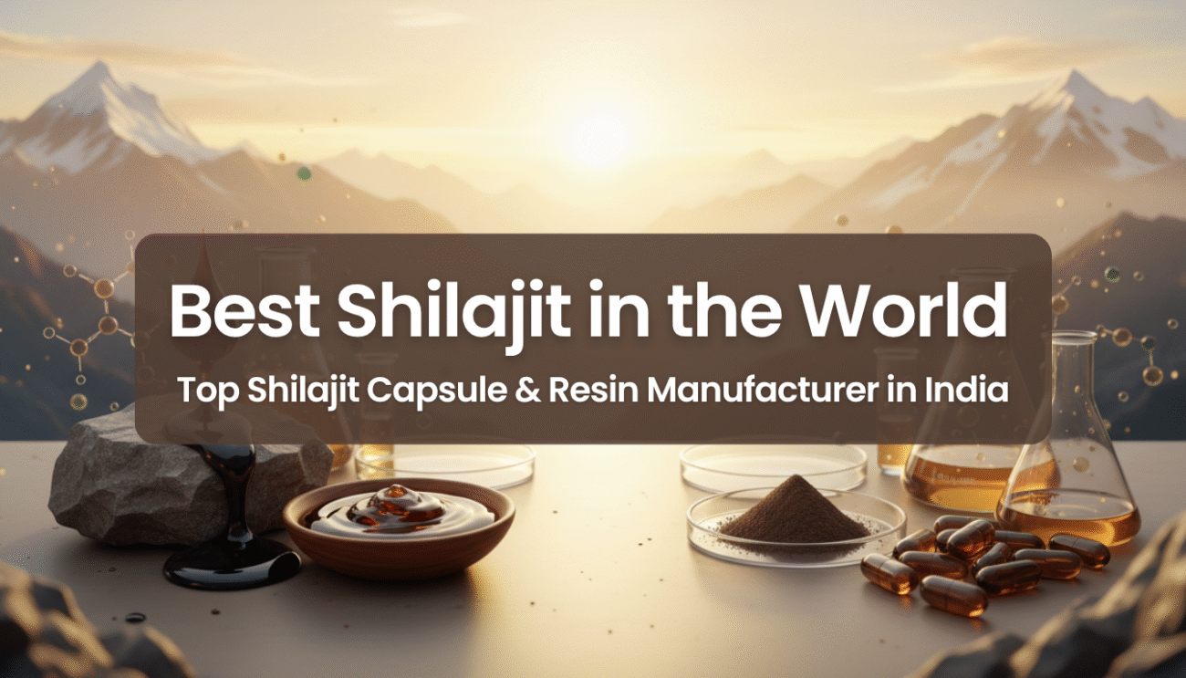 best shilajit in the world