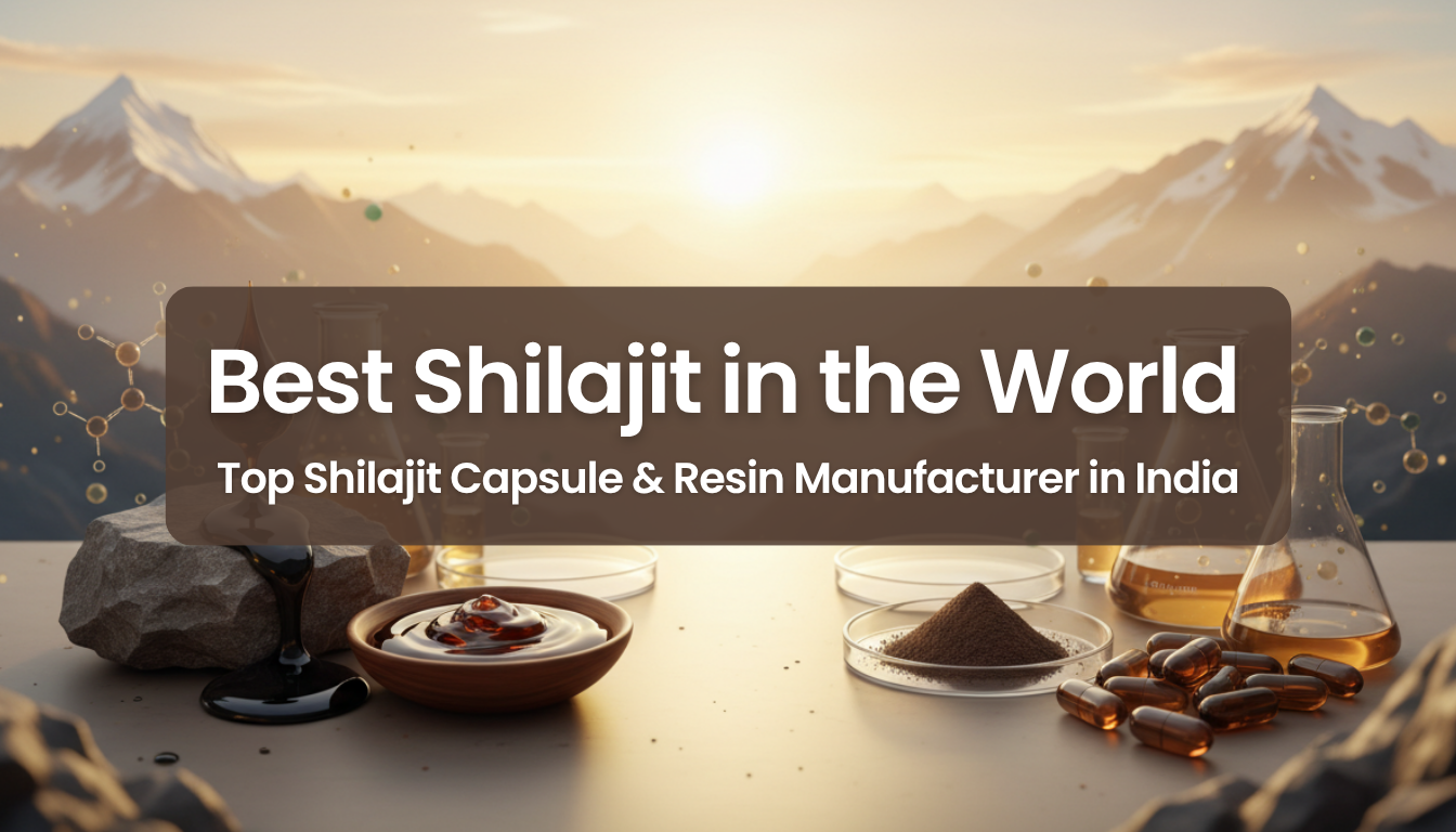 best shilajit in the world