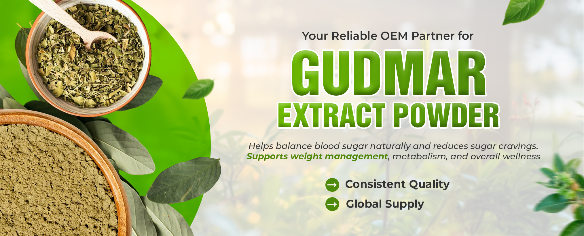 top gudmar extract manufacturer in india